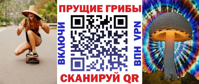 Галлюциногенные грибы GOLDEN TEACHER  купить  цена  Тырныауз 